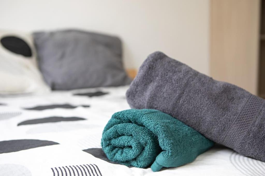 Suite Lumineux Et Moderne, Parking Gratuit, Mulhouse Centre Eksteriør bilde